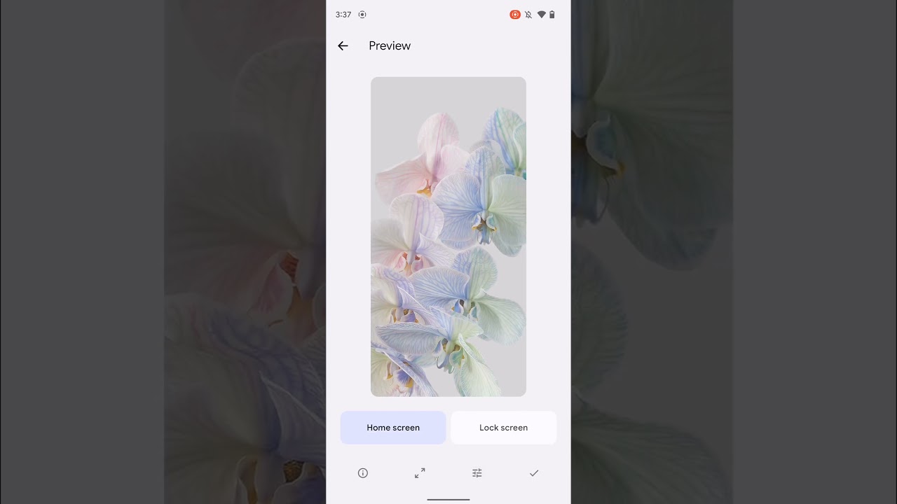 Pixel 6 Wallpaper: Hier gibt es alle Hintergrundbilder und Live